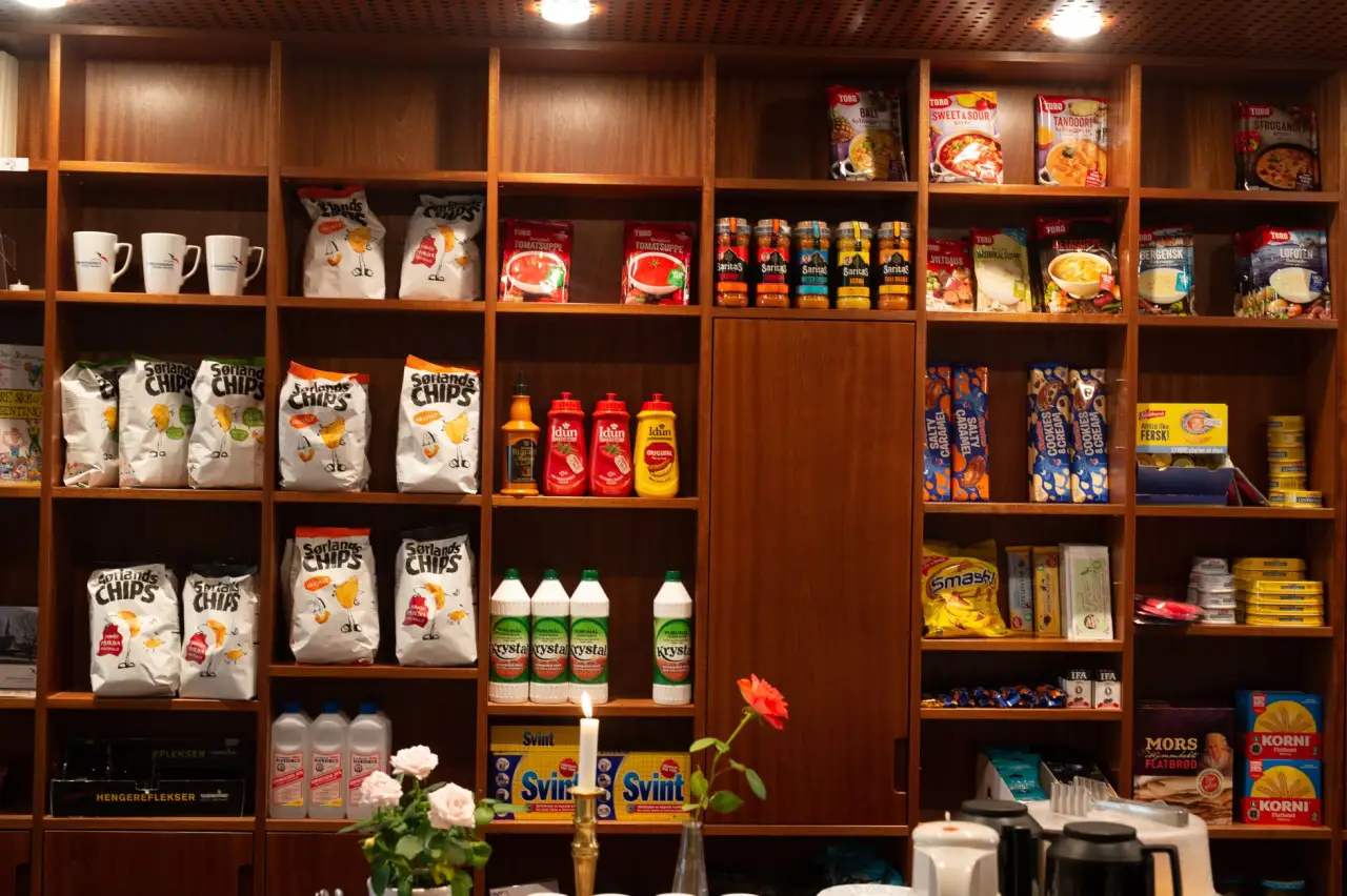 沙坪坝区童月依百货店积木拼图与遥控玩具产品对比分析